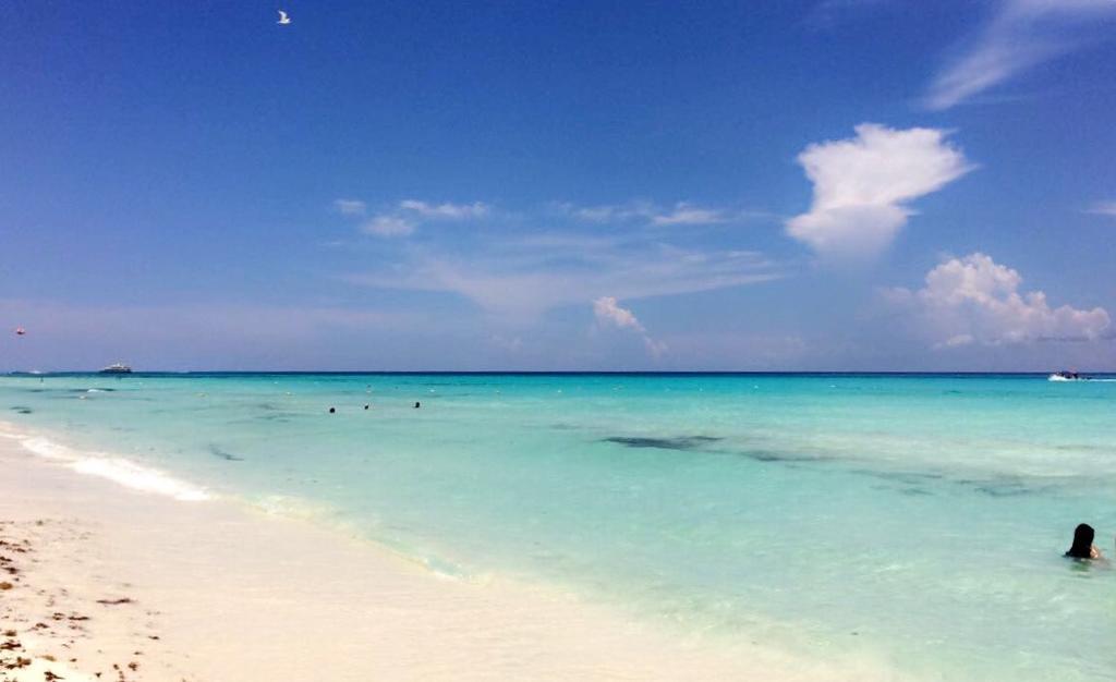 Apartament Luxury 5Th Avenue Menesse 32 Playa del Carmen Zewnętrze zdjęcie