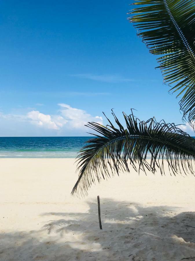 Apartament Luxury 5Th Avenue Menesse 32 Playa del Carmen Zewnętrze zdjęcie
